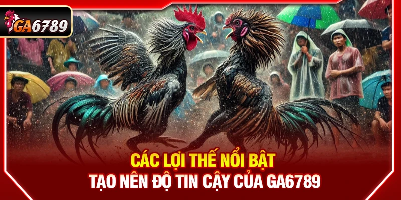 Ga6789 - Link Đá Gà 6789 Trực Tiếp Chính Thức Mới Nhất 2026 12 Các lợi thế nổi bật tạo nên độ tin cậy của Ga6789