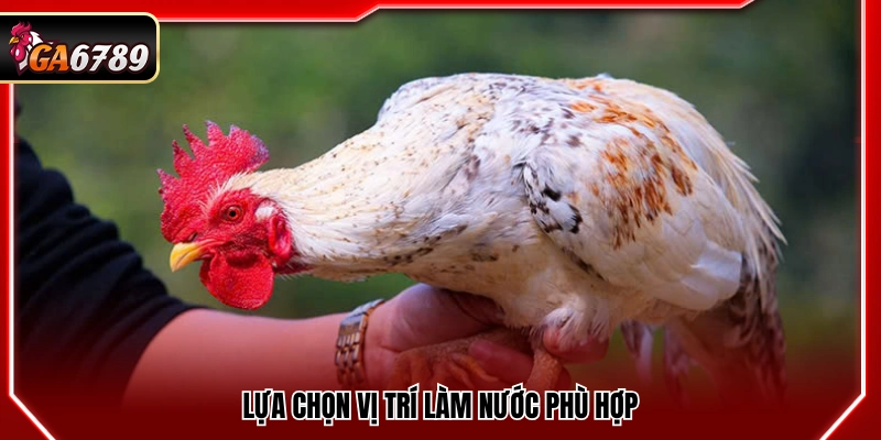 Chọn vị trí làm ẩm thích hợp