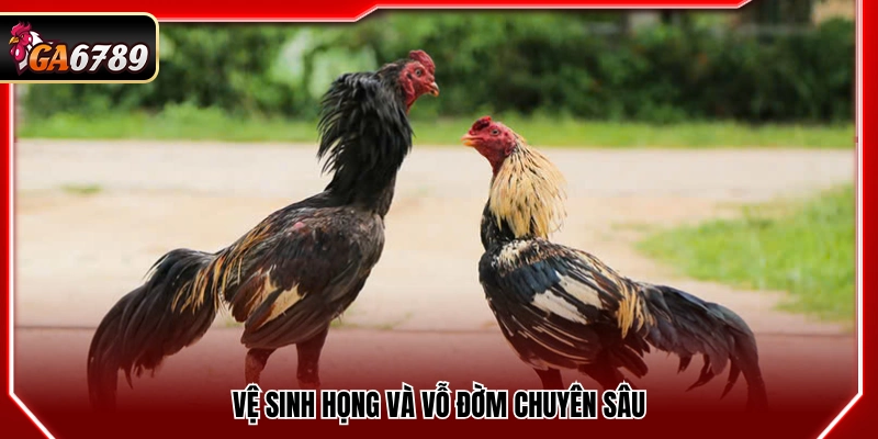 Làm sạch họng và dẫn lưu đờm chuyên sâu