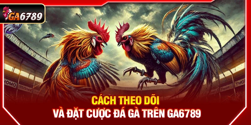 Ga6789 - Link Đá Gà 6789 Trực Tiếp Chính Thức Mới Nhất 2026 16 Cách theo dõi và đặt cược đá gà trên Ga6789