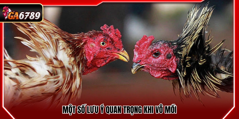 Những điểm cần chú ý khi thực hiện vô mồi