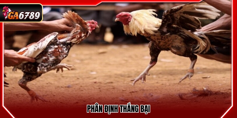 Xác định kết quả thắng thua