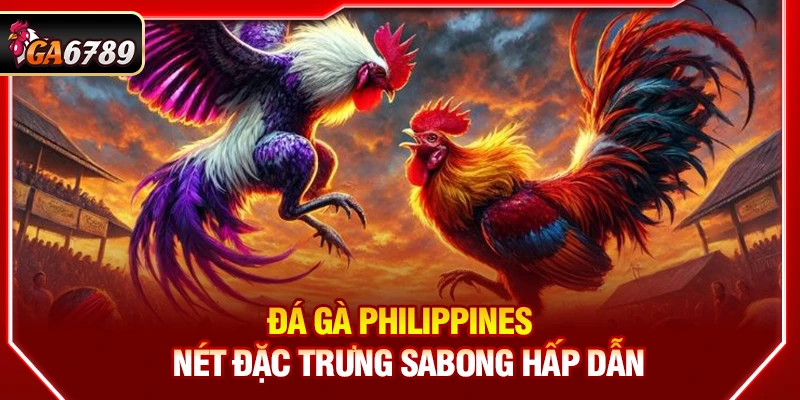Ga6789 - Link Đá Gà 6789 Trực Tiếp Chính Thức Mới Nhất 2026 14 Đá gà Philippines - Nét đặc trưng Sabong hấp dẫn