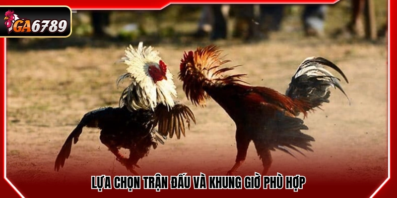 Chọn trận đấu và thời điểm theo dõi hợp lý