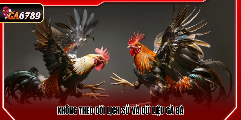 Kinh Nghiệm Cá Độ Đá Gà Thực Tế Từ Người Chơi Lâu Năm 3 Bỏ qua việc theo dõi lịch sử và dữ liệu thi đấu của gà