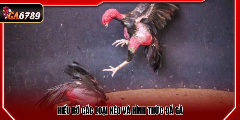 Mẹo Cá Cược Gà Đá - Kinh Nghiệm Bắt Kèo Chuẩn Xác Tại Ga6789 3 Nắm rõ các dạng kèo và phương thức thi đấu gà