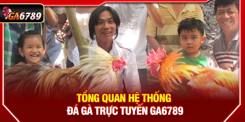 Ga6789 - Link Đá Gà 6789 Trực Tiếp Chính Thức Mới Nhất 2026 11 Tổng quan hệ thống đá gà trực tuyến Ga6789