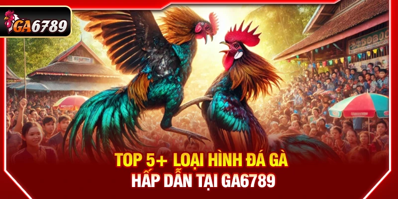 Ga6789 - Link Đá Gà 6789 Trực Tiếp Chính Thức Mới Nhất 2026 13 Top 5+ loại hình đá gà hấp dẫn tại Ga6789